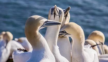 林芝高价上海医保提取2025的最新政策(2025年林芝上海医保怎么提取现金分享)