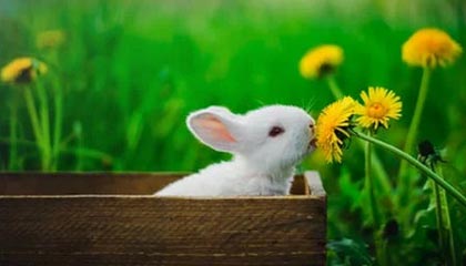 林芝高价特别缺钱想提取养老金怎么办呢的最新政策(2025年林芝高价特别缺钱想提取养老金怎么办呢视频分享)